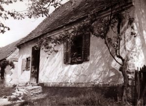 Talpashaz Revfalu 4589 KeP